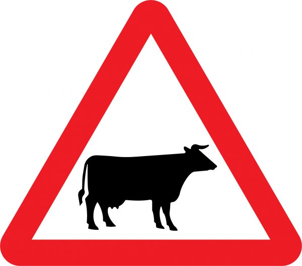 Cattle road sign