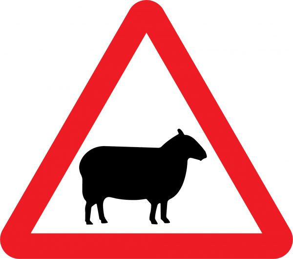 Sheep road sign